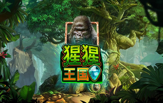 49彩票官网网站